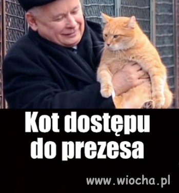 Dlatego kucharka może więcej
