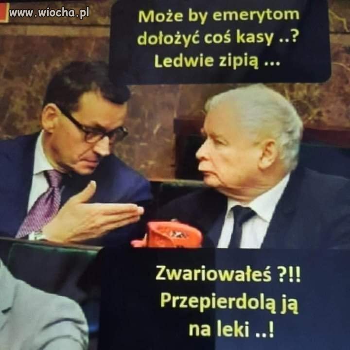 Nocne pisowców...