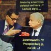 Nocne pisowców...