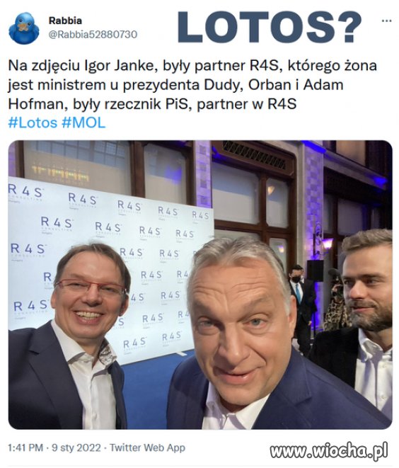 Nie mam pytań