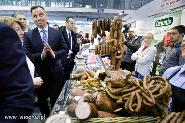 Paciorek przed posiłkiem