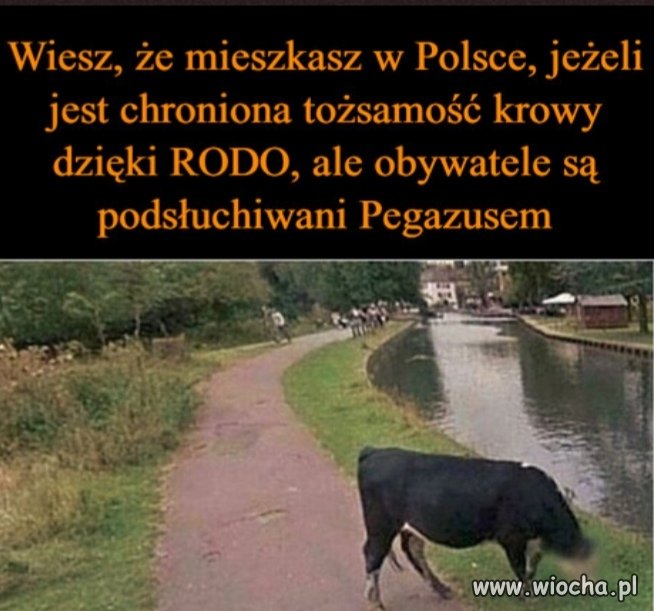 Witamy w Polsce 