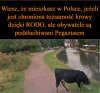 Witamy w Polsce 