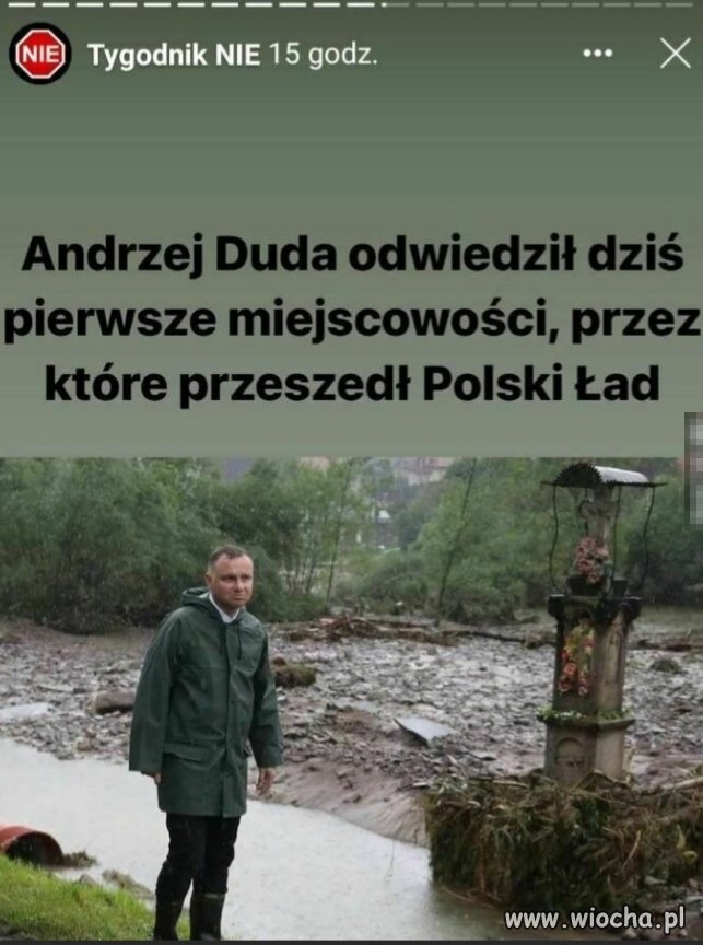 Znalezione 