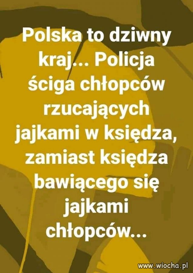 Polska to taki dziwny kraj ...