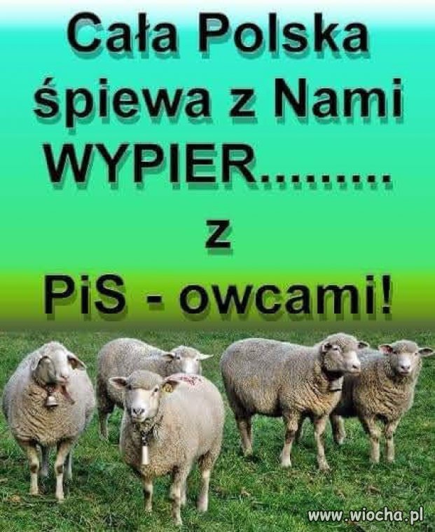 Przyłącz się. Zaśpiewajmy razem ...