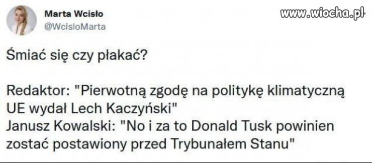 Janusze polityki