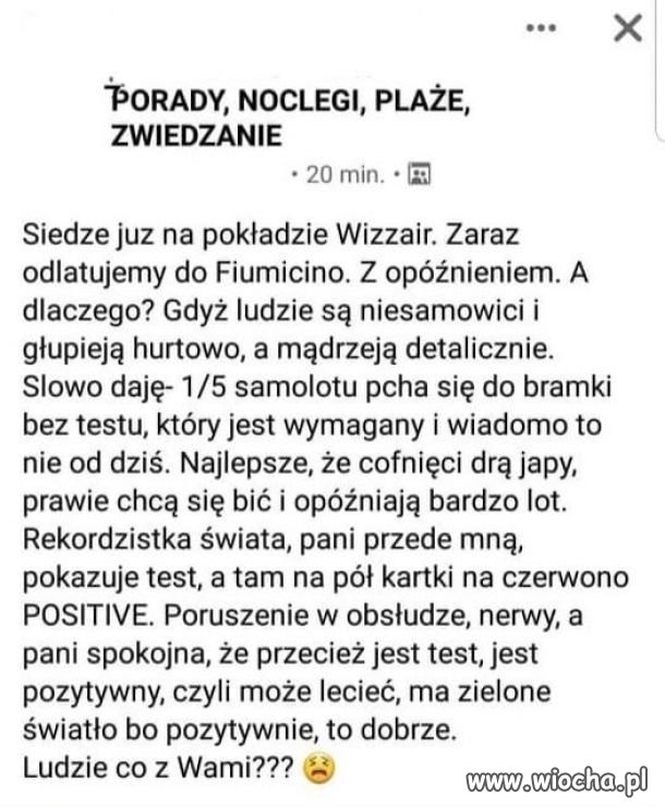 Głupieją hurtowo