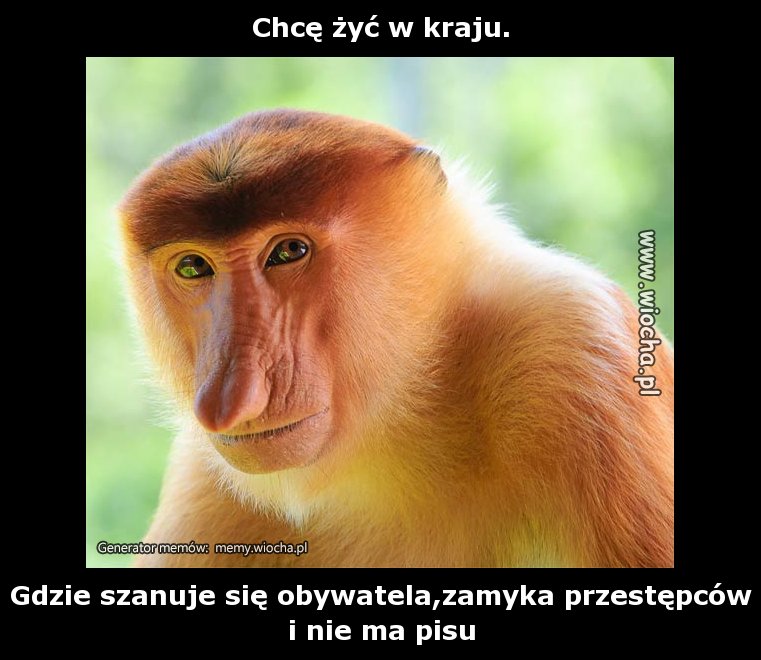 Chcę żyć w kraju.