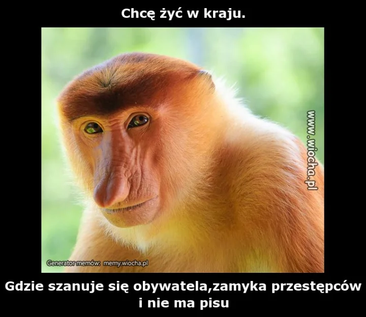 Chcę żyć w kraju.