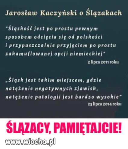 Zakamuflowana opcja niemiecka głosuje na PiS...