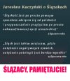 Zakamuflowana opcja niemiecka głosuje na PiS...