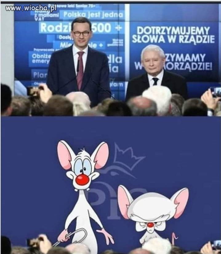 Jarku, co będziemy robić dziś w nocy