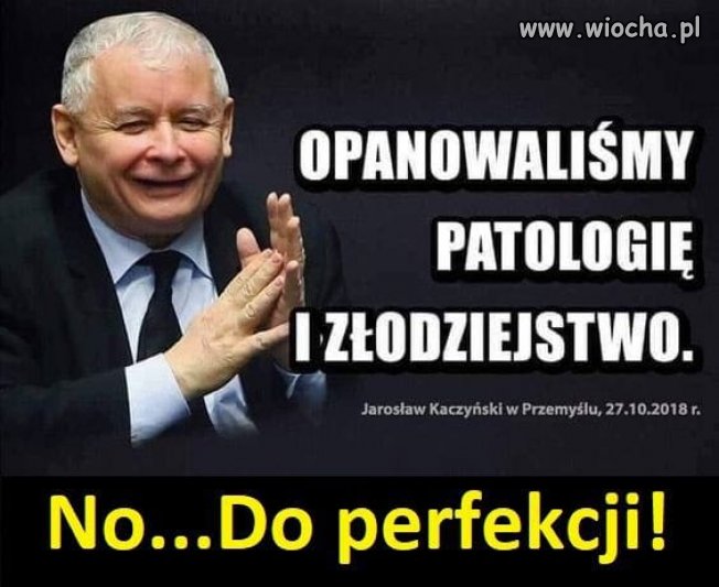 Pan ropuch już wcześniej wiedział