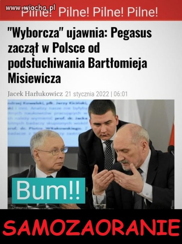 Jacy oni są głupi