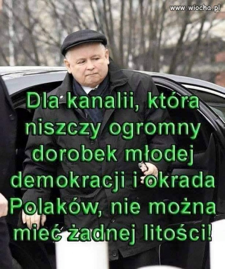 Dokładnie tak.