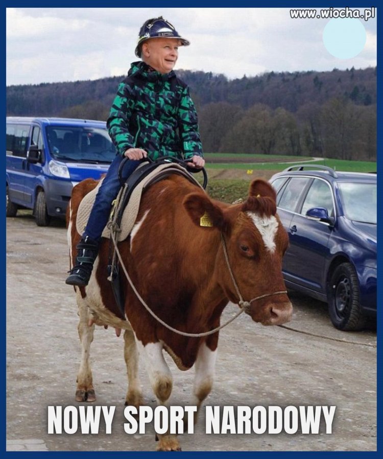 Rodeo. Ulubiony sport prezesa ...