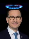 Matołuszek 