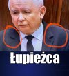 W pełnym tego słowa znaczeniu