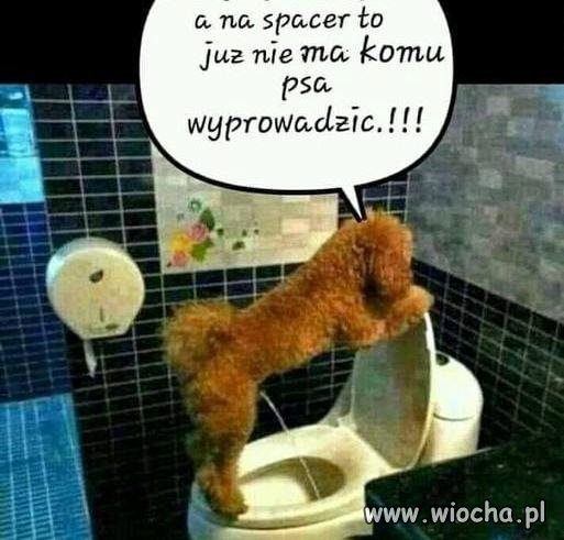 Już jestem niepotrzebny