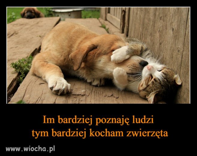 Tak powiedzial George Bernard Shaw i ja sie z nim zgadzam.