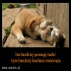 Tak powiedzial George Bernard Shaw i ja sie z nim zgadzam.