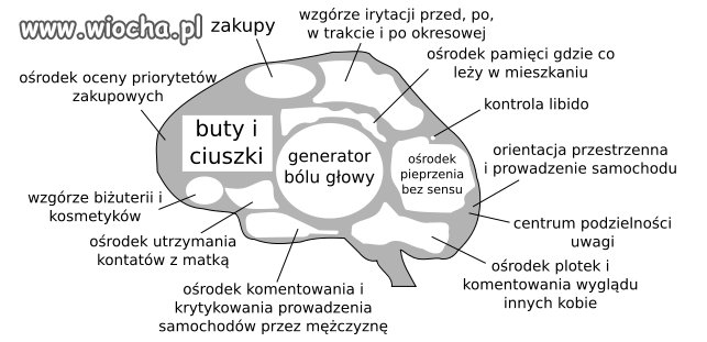 Logika kobiet...znalezione