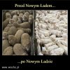 To nie wina cwaniakow PiSu, ze okradaja polski narod...