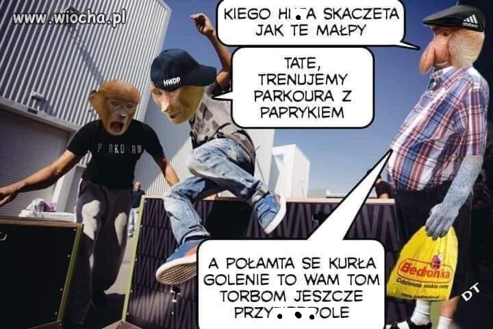 Może jeszcze jajami