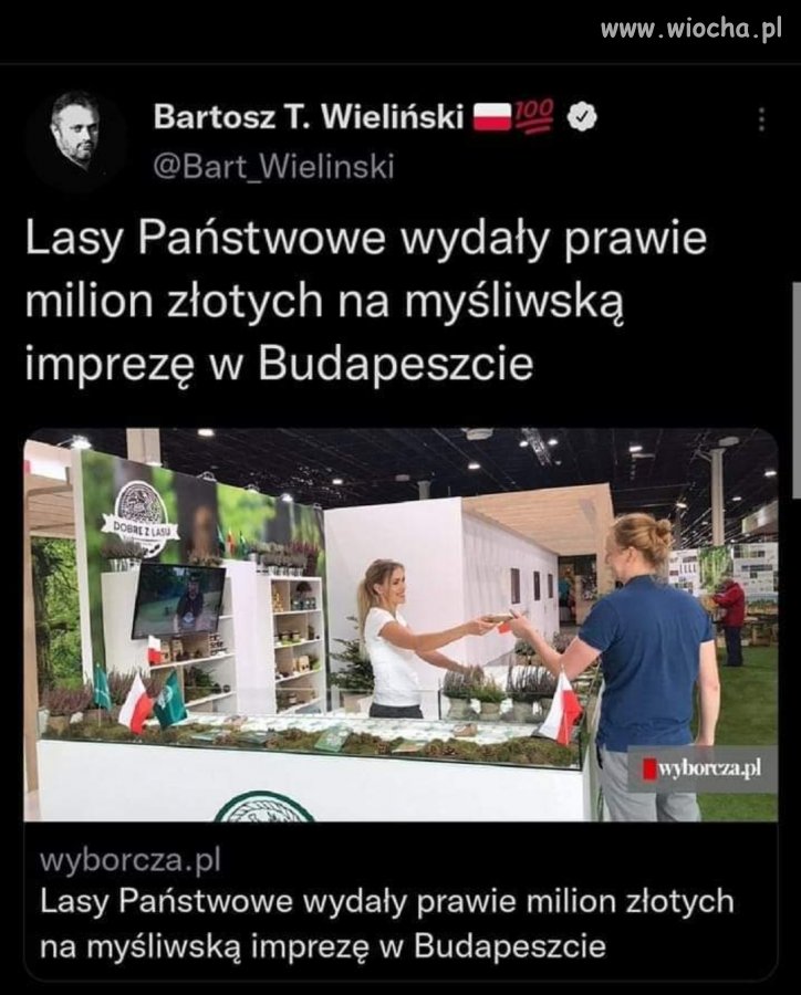 Można się bawić? 