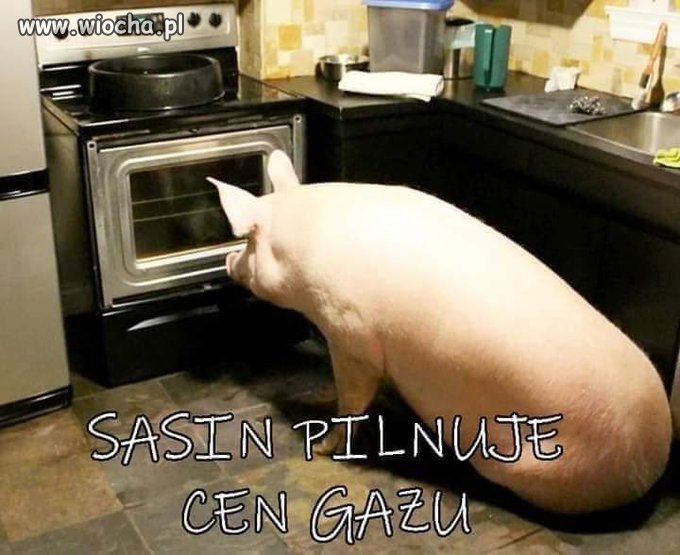 Tak to wygląda 