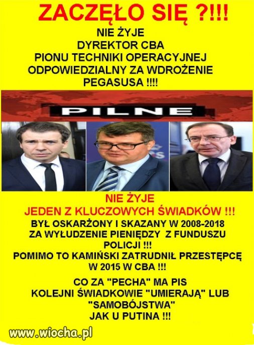 Działania typowe dla organizacji mafijno-przestępczej . . .