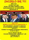 Działania typowe dla organizacji mafijno-przestępczej . . .