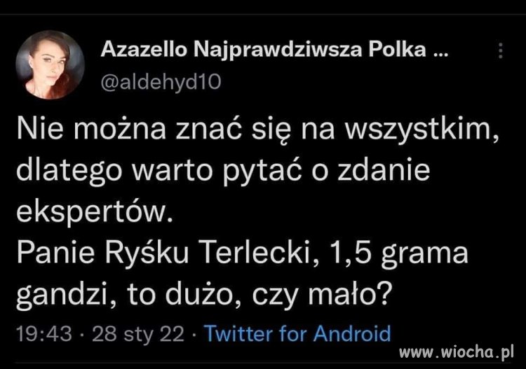 Pytanie
