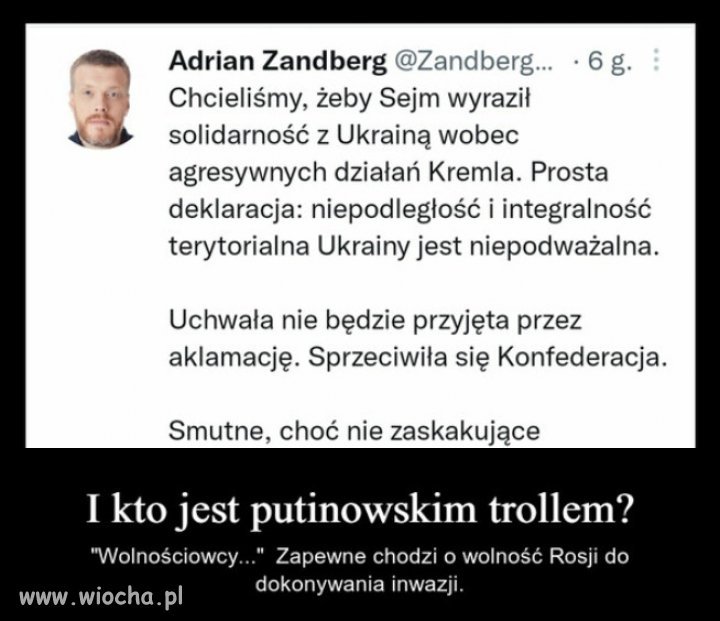 Pożyteczni idioci z Europy Putinowi są potrzebni 