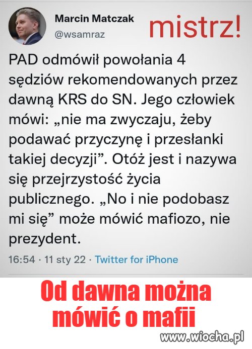 Członek mafii 