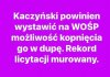 Kto z Was by licytował ?