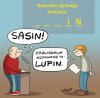 Lupin 