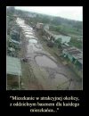 Mieszkanie +