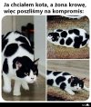 Muuu