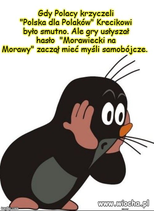 Chyba będzie musiał