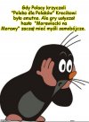 Chyba będzie musiał