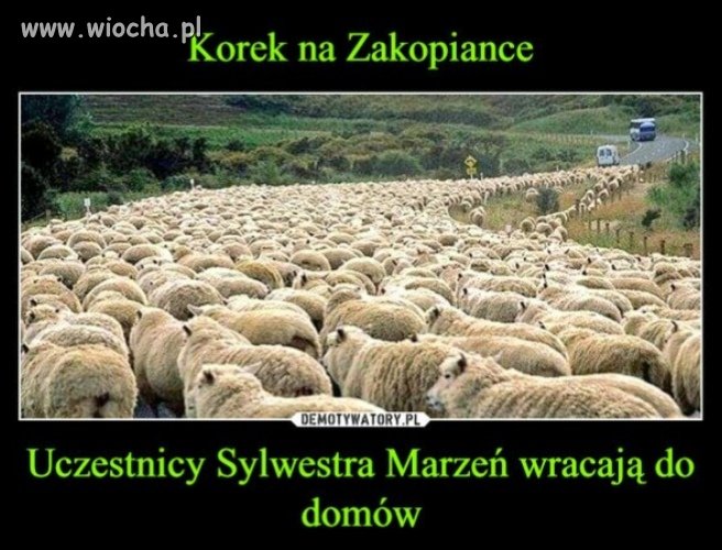 Heheszki 
