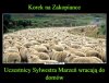 Heheszki 