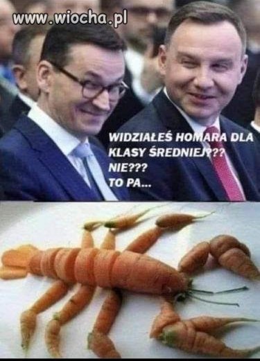 Polski Ład od kuchni