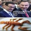 Polski Ład od kuchni