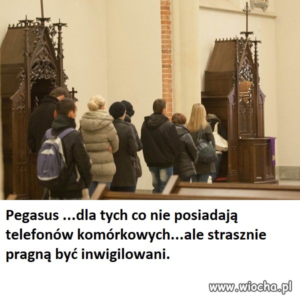 Najsławniejszy koń