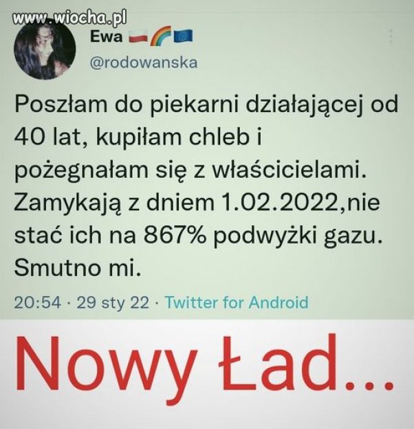 Pisowskie reformy