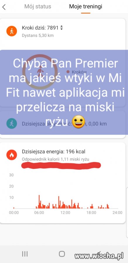 Przelicznik miski ryżu MiFit