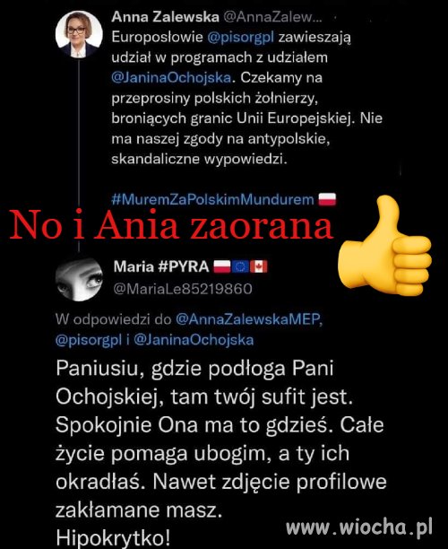 Anna zaorana 